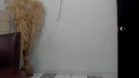 Snapshot of sky_dancer chatting on December 23, 2:20 am Reuben online show from December 23, 2:20 am