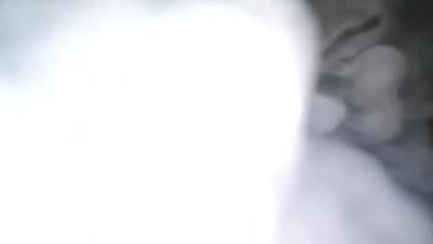 Snapshot of skyonetoo3 chatting on October 21, 10:21 pm skyonetoo3 online show from October 21, 10:21 pm