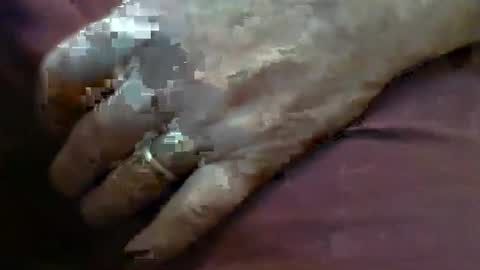 Snapshot of skypylot chatting on February 4, 4:13 pm ResqPylot2 online show from February 4, 4:13 pm