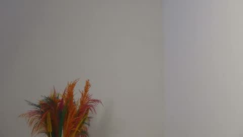 Snapshot of skyy_brown chatting on February 3, 3:38 pm Bella online show from February 3, 3:38 pm