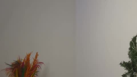 Snapshot of skyy_brown chatting on February 4, 12:08 am Bella online show from February 4, 12:08 am