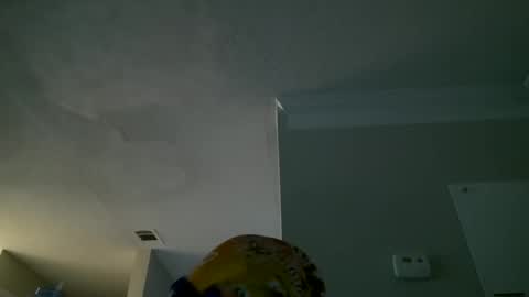 Snapshot of slimmmgooodiexoxo chatting on September 26, 11:14 am slimmmgooodiexoxo online show from September 26, 11:14 am