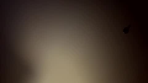 Fun time online show from March 19, 7:45 am