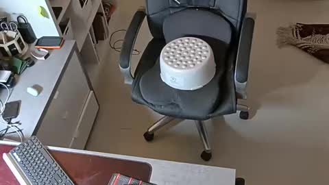 Snapshot of sluttygina1 chatting on January 28, 2:53 pm sluttygina1 online show from January 28, 2:53 pm