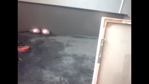 Snapshot of slutviki chatting on February 15, 10:14 am slutviki online show from February 15, 10:14 am