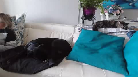 Daddy online show from January 6, 5:16 pm