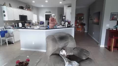 Daddy online show from January 19, 2:49 pm