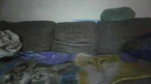 smaug6606 online show from November 24, 6:46 am