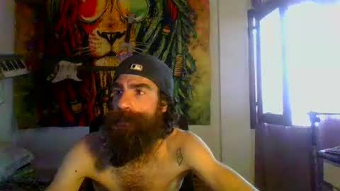 willy online show from December 3, 8:49 am