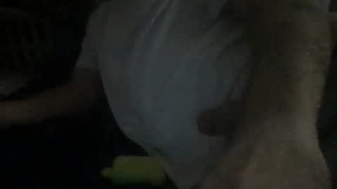 Snapshot of smokenfuk23 chatting on November 30, 1:53 am smokenfuk23 online show from November 30, 1:53 am