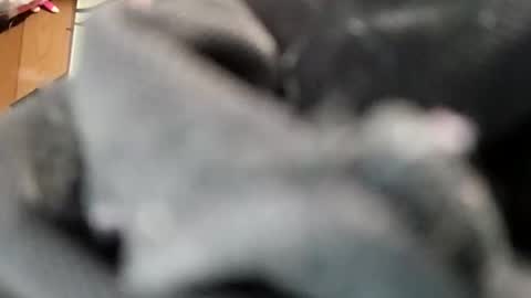 smokesum4me online show from May 8, 6:19 am