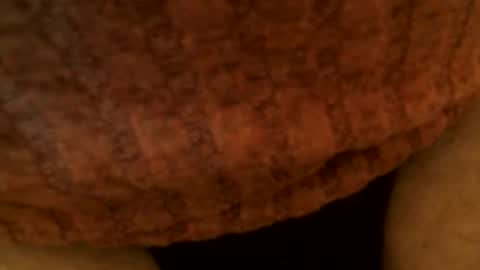 Snapshot of snakepit31 chatting on March 2, 6:51 pm Sissy Boy online show from March 2, 6:51 pm