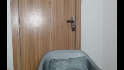 Snapshot of snowdrop5 chatting on January 31, 11:03 pm snowdrop5 online show from January 31, 11:03 pm