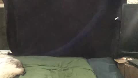 Snapshot of snowsurfer2 chatting on November 1, 1:51 am Riley Ray online show from November 1, 1:51 am