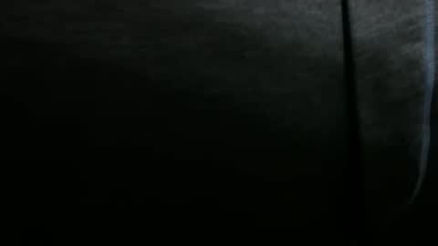 Snapshot of snuffalufagus chatting on December 20, 6:35 pm Adam online show from December 20, 6:35 pm