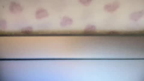 Snapshot of sofia8428 chatting on September 22, 10:01 pm sofia8428 online show from September 22, 10:01 pm