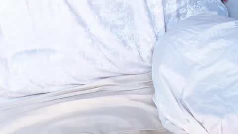 Sofia here online show from January 9, 6:27 am