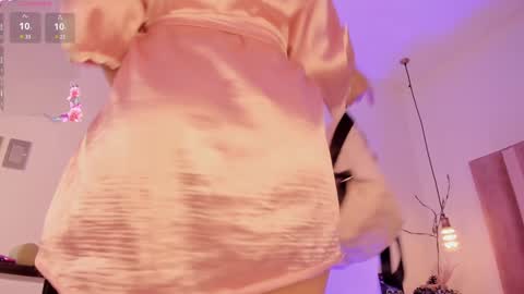 Snapshot of sofiesoft chatting on January 28, 1:49 pm Sofie online show from January 28, 1:49 pm