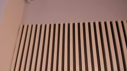 Snapshot of sofiesoft chatting on November 11, 2:39 pm Sofie online show from November 11, 2:39 pm