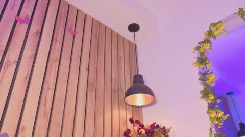 Snapshot of sofiesoft chatting on November 12, 2:39 pm Sofie online show from November 12, 2:39 pm