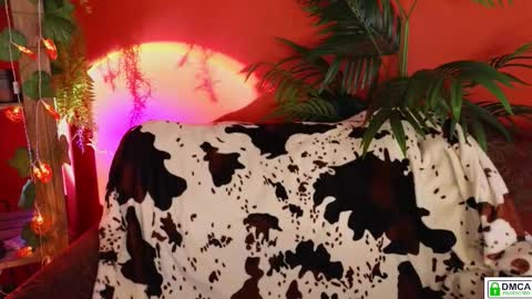 Snapshot of soft_animal chatting on November 18, 9:14 am E online show from November 18, 9:14 am