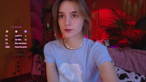 Snapshot of soft_animal chatting on November 25, 9:09 am E online show from November 25, 9:09 am