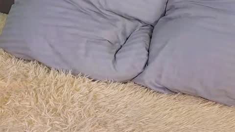 Milisa online show from March 2, 6:19 pm