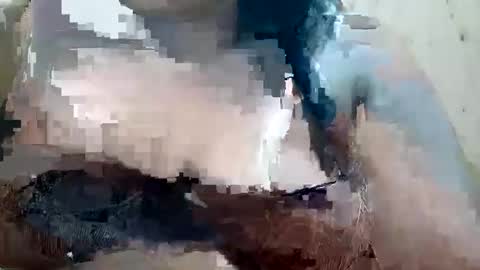 Snapshot of soft_bads chatting on October 9, 10:46 am soft_bads online show from October 9, 10:46 am