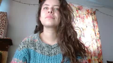 Sofia online show from November 28, 11:46 am