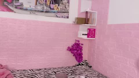 SOPHI online show from April 18, 2:21 pm