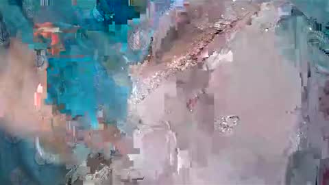 Sophia Tamil online show from January 23, 8:46 am