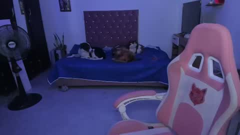 Snapshot of sophie_dolly_ chatting on June 25, 2:33 am sophie doll online show from June 25, 2:33 am