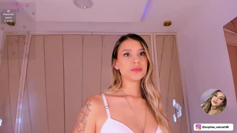 Snapshot of sophie_velvet18 chatting on December 3, 11:52 am Sophie online show from December 3, 11:52 am