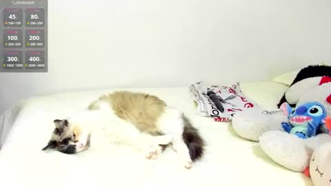 sophiebaker__ online show from September 20, 1:50 am