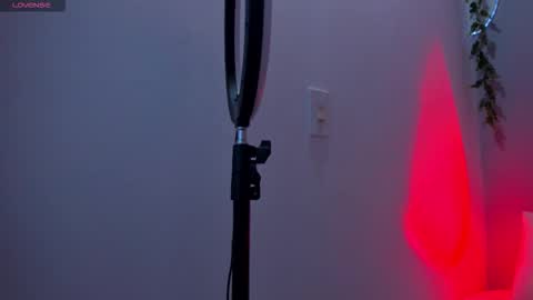 Sophie online show from December 20, 7:10 pm