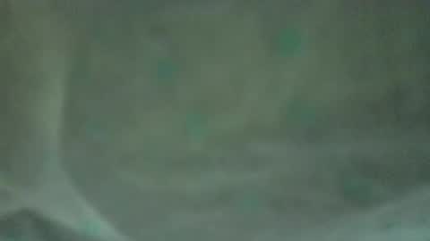 soycule2005 online show from April 10, 10:36 pm