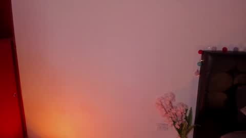 Snapshot of soytucolor chatting on January 15, 12:30 am Paula  add me on snap online show from January 15, 12:30 am