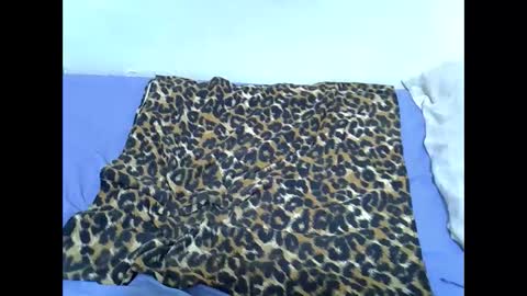 Kittle online show from November 16, 4:56 pm