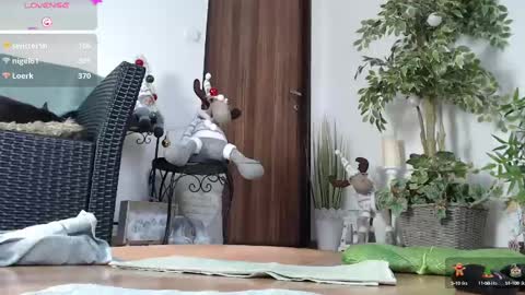 Snapshot of squirtmanica chatting on December 21, 12:16 pm Monica online show from December 21, 12:16 pm