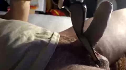 srb543 online show from December 16, 9:09 pm