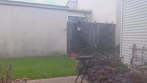 srtxshow online show from September 23, 7:06 pm