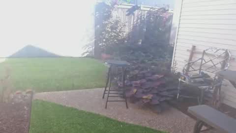 srtxshow online show from September 26, 2:43 pm