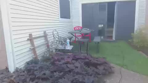 srtxshow online show from October 20, 12:49 pm