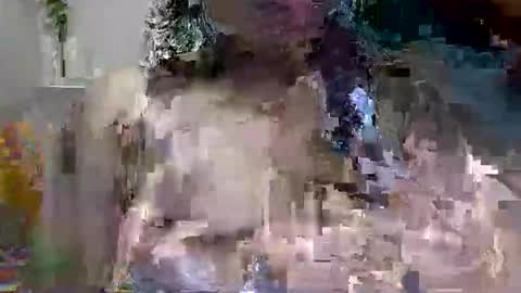 sruti online show from May 12, 3:25 am
