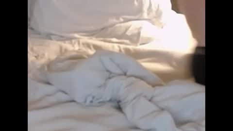 Snapshot of st8llion chatting on February 27, 1:38 am st8llion online show from February 27, 1:38 am