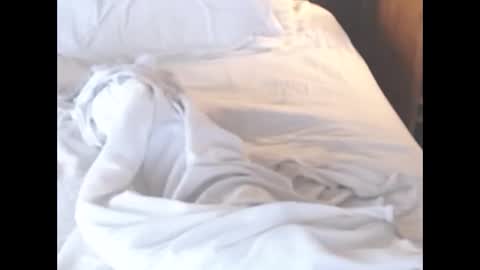 st8llion online show from March 6, 8:00 am