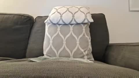 stack_32 online show from November 30, 6:01 pm