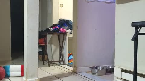 Snapshot of stacytasteme chatting on January 29, 12:45 pm Submissive Slut LOVES adoration online show from January 29, 12:45 pm