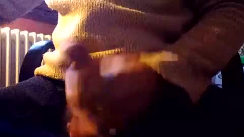 Snapshot of stalloneumbro chatting on December 31, 1:08 pm CIPPALIPPA online show from December 31, 1:08 pm