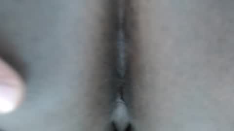 calvin online show from January 10, 11:56 am